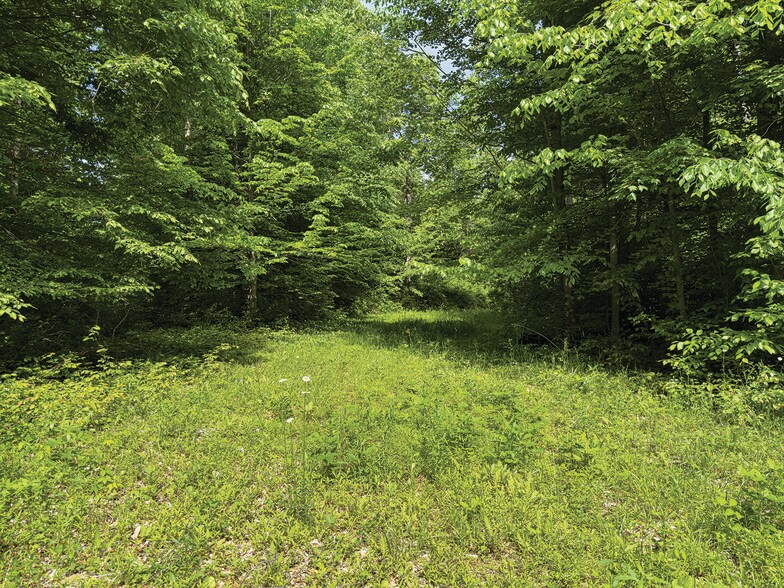 More Photos Of 2475 W County Road 1050 S, Cloverdale Land For Sale