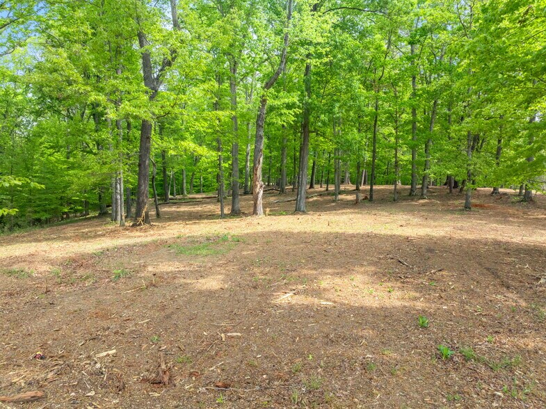 More Photos Of 0 Highway 321 South, Lenoir City Land For Sale