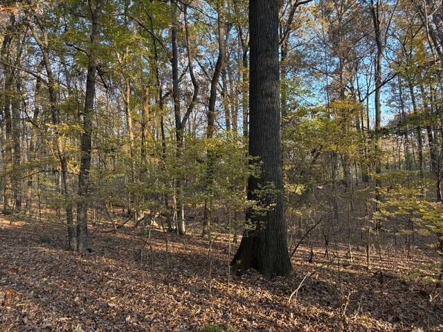 More Photos Of HWY 301, Horn Lake Land For Sale