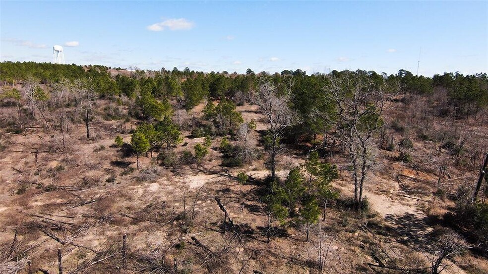 More Photos Of 488 Kelley Rd, Bastrop Land For Sale