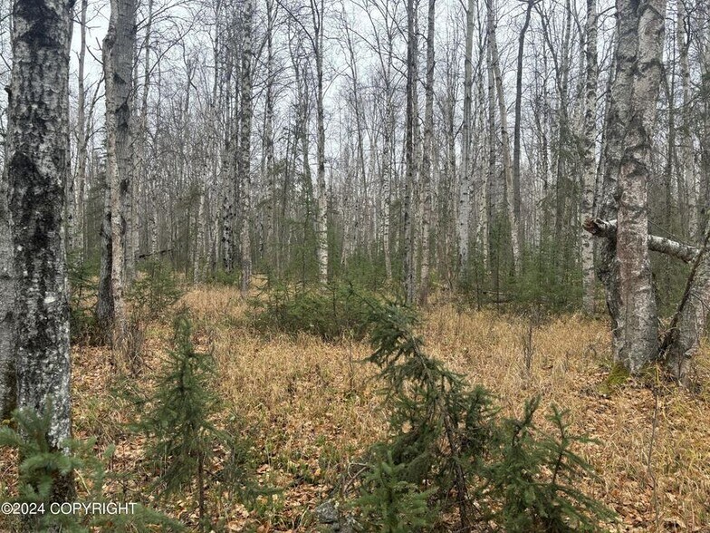 More Photos Of 6129 S Knik Goose Bay Rd, Wasilla Land For Sale