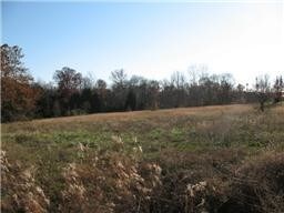 More Photos Of 100 Rutland Rd NW, Mount Juliet Land For Sale