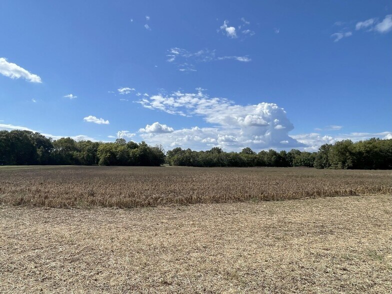 More Photos Of County 21 & Bell Grayson Road hwy, Demopolis Land For Sale