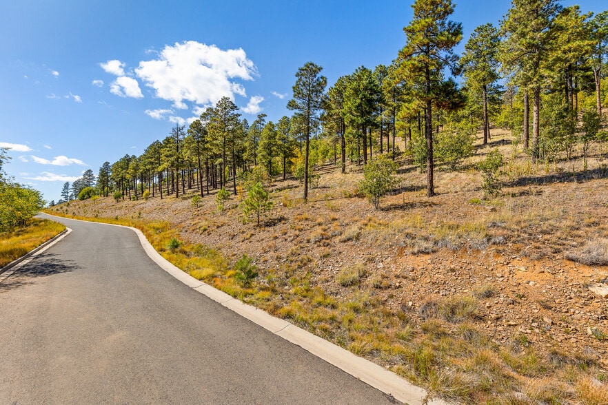 More Photos Of 1300 W Lower Coconino Ave, Flagstaff Land For Sale