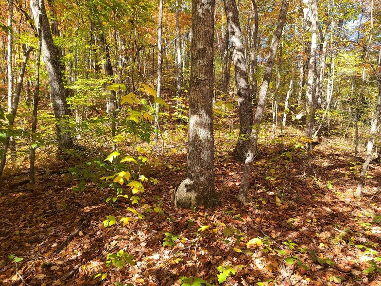 More Photos Of 00 Bettys Creek, Sylva Land For Sale