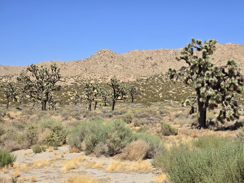 More Photos Of 145th St. East & Avenue Q, Lake Los Angeles Land For Sale
