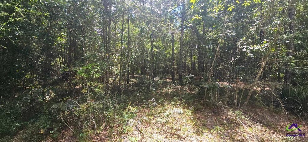 More Photos Of 21.20 Acres Priest Road, Vienna Land For Sale