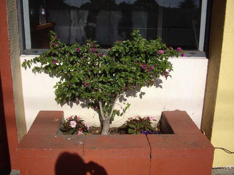 More Photos Of 13640 Goldenwest St, Westminster Restaurant For Lease