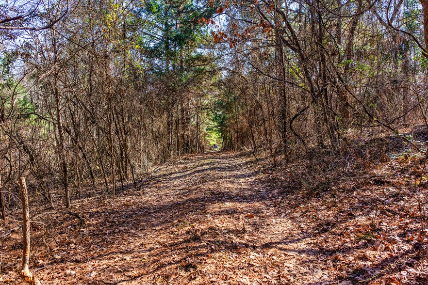 More Photos Of 1609 County Road 246 S rd, Tyler Land For Sale