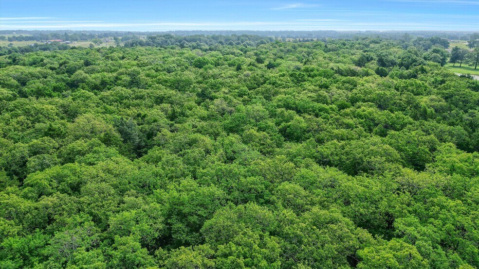 More Photos Of TBD W Line Road, Whitesboro Land For Sale