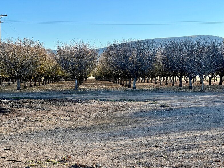 More Photos Of 9121 Pass Rd Rd, Sutter Land For Sale