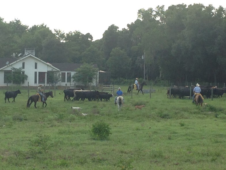 More Photos Of 13838 Hays Rd, Spring Hill Land For Sale