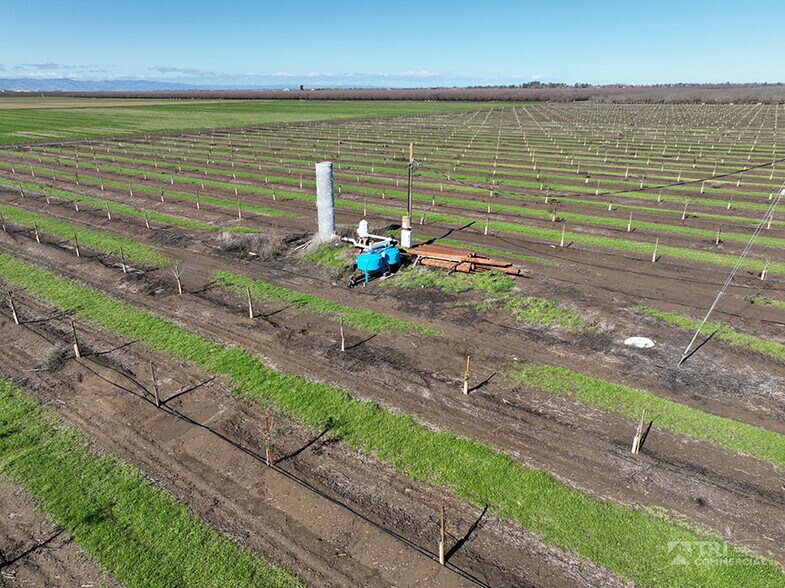 More Photos Of 8535 Bulkley Rd, Dixon Land For Sale