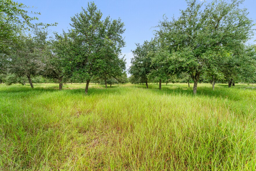 More Photos Of 23111 FM 1462 Rd, Damon Land For Sale