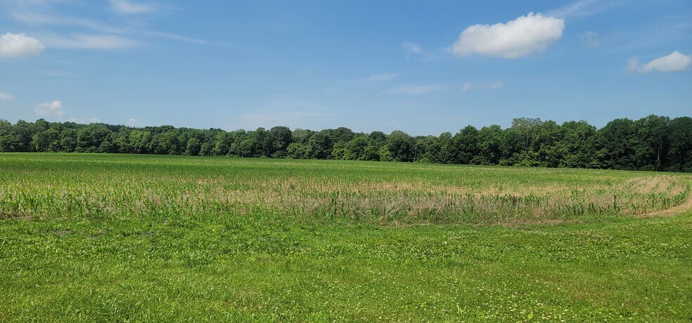 Primary Photo Of 3204 N Bowling Green Poland Rd, Poland Land For Sale