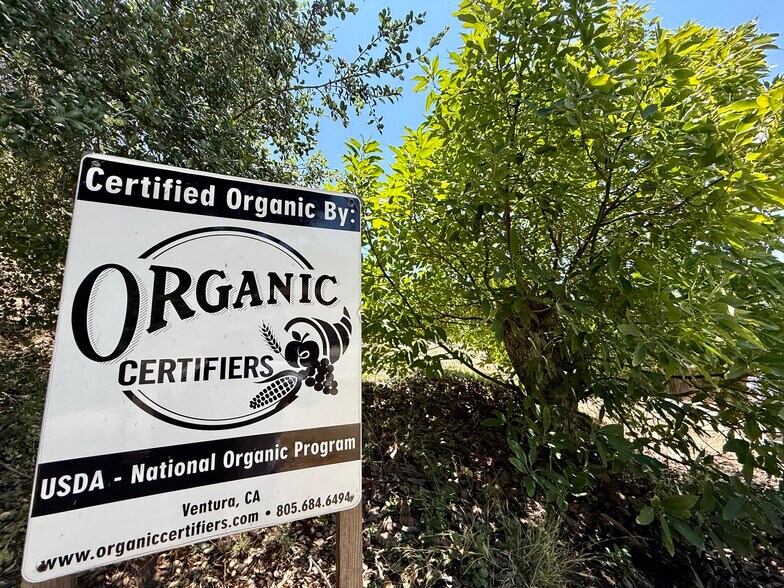 More Photos Of 3137 E Valley Pky, Escondido Land For Sale