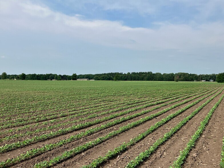 More Photos Of 00 Center Rd, Rochelle Land For Sale