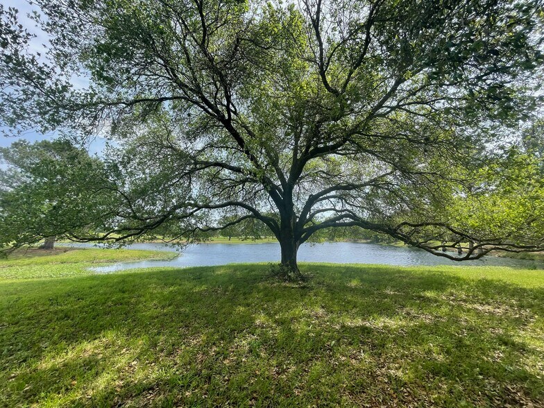 More Photos Of 26039 Magnolia Rd, Hockley Land For Sale