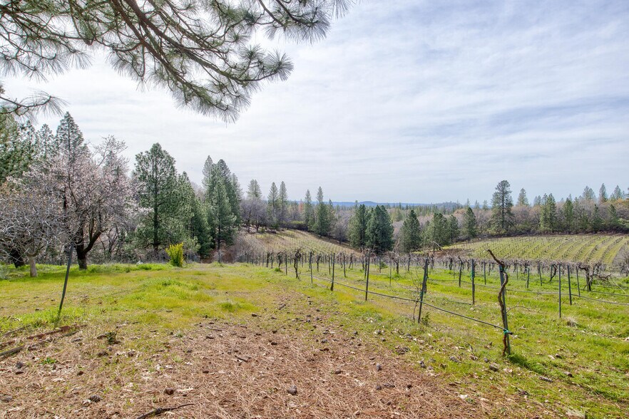 More Photos Of 4771 Greenhills Rd, Placerville Winery Vineyard For Sale