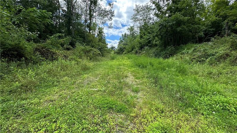 More Photos Of Lot 1 Low Hill Rd, Brownsville Land For Sale
