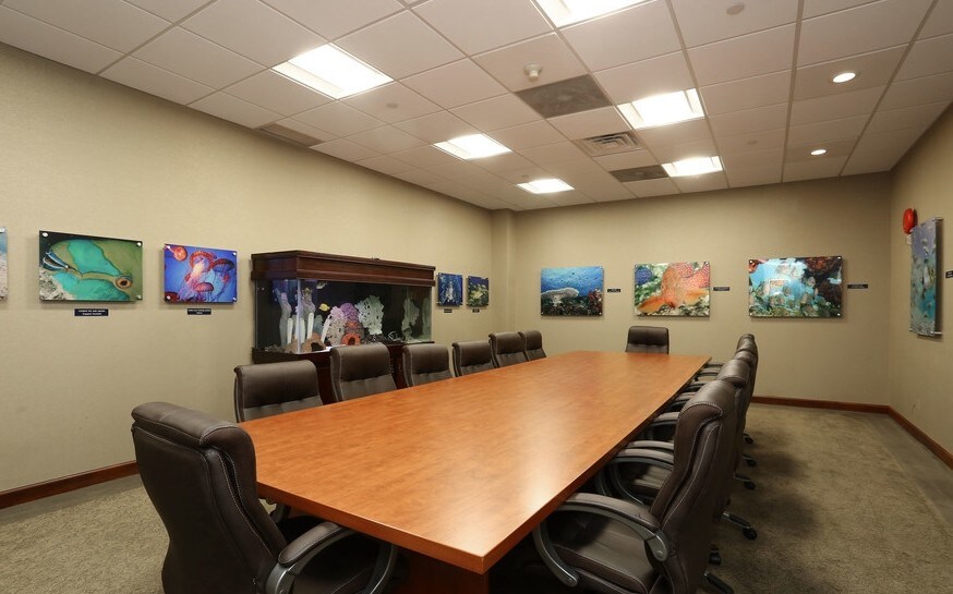 More Photos Of 235 Main St, White Plains Office For Lease