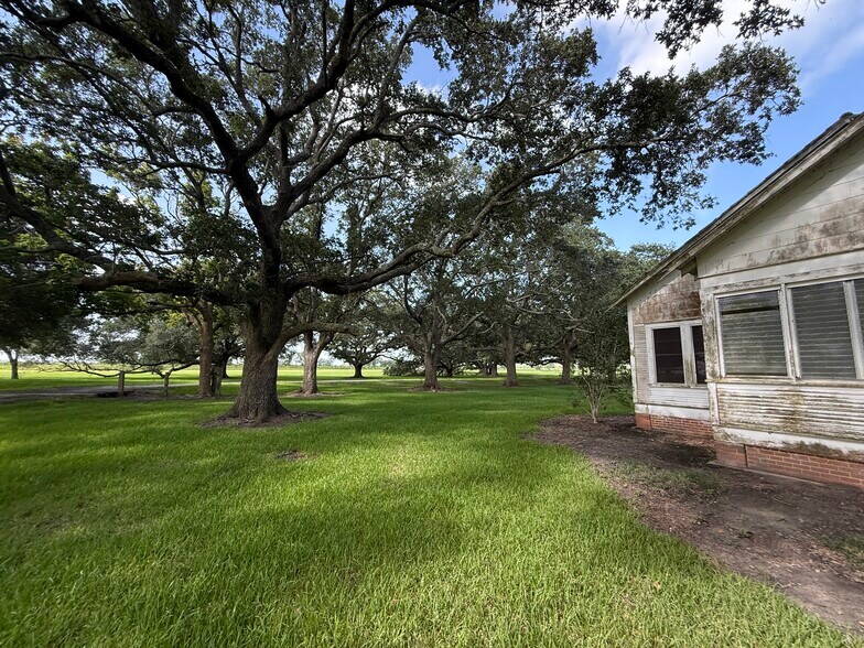 More Photos Of 525 Olede Devillier Road, Winnie Land For Sale