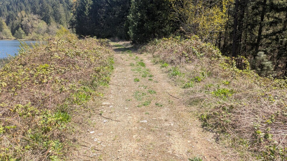 More Photos Of 2999 Speaker Rd, Wolf Creek Land For Sale