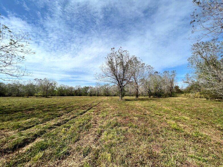 More Photos Of 0 Hwy 35, Van Vleck Land For Sale