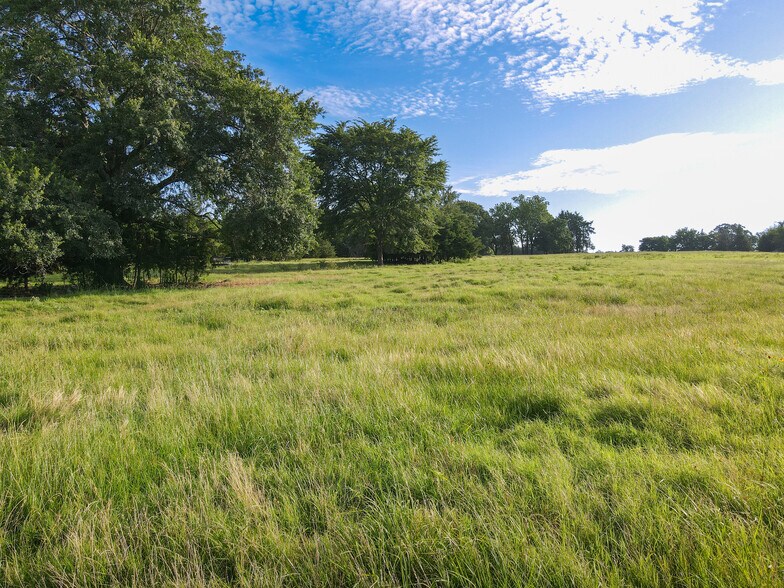More Photos Of Intersection of FM 2029 and FM 409, Telephone Land For Sale
