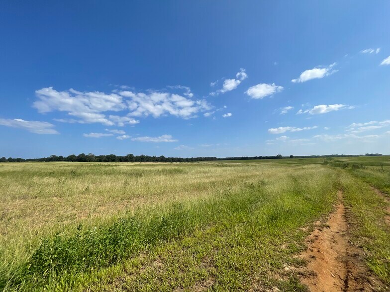 More Photos Of 17192 Co 21 rd, Marion Junction Land For Sale