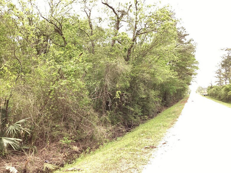 More Photos Of 0 County Road 4876, Dayton Land For Sale