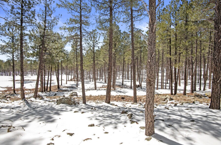 More Photos Of 0 Route 66, Flagstaff Land For Sale