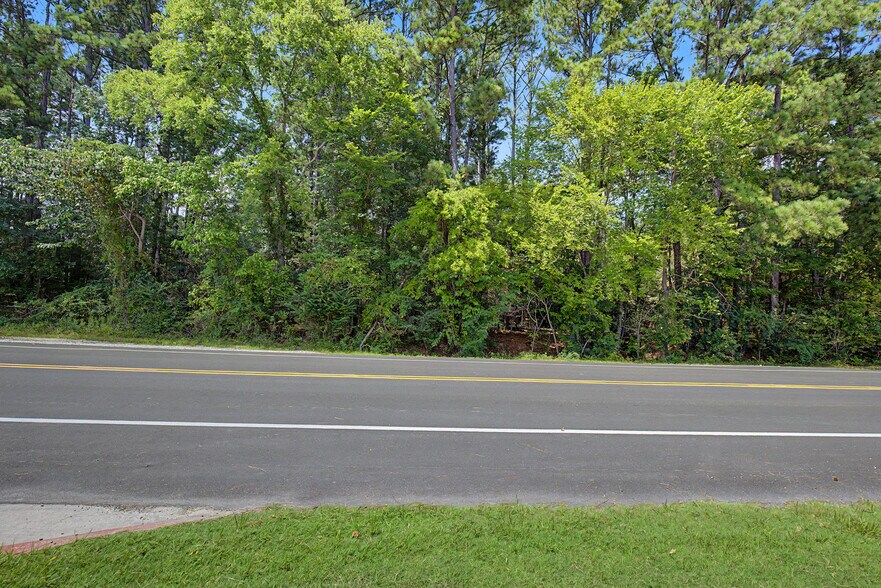 More Photos Of TBD Martin Luther King Drive, Huntsville Land For Sale