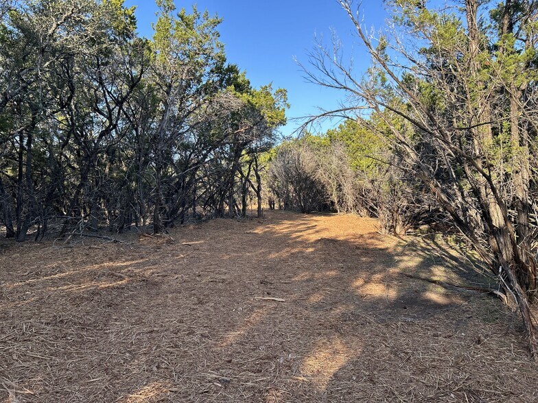 More Photos Of 301 CR 282, Liberty Hill Land For Sale