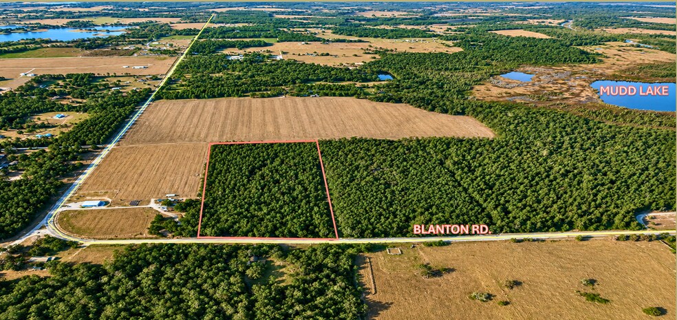 More Photos Of 31277 Blanton Road, Dade City Land For Sale