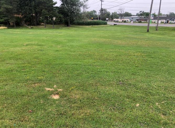 More Photos Of 2890 Southwestern Blvd, Orchard Park Land For Sale