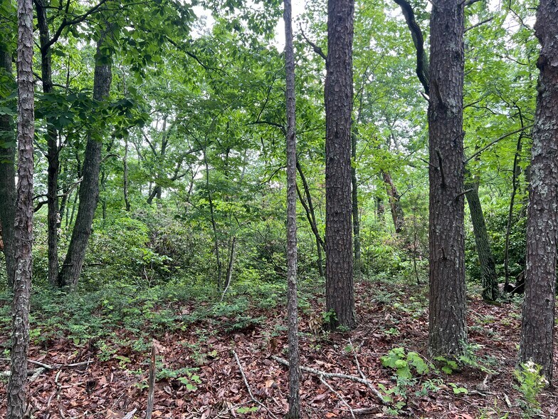 More Photos Of 395 Able rd, Waleska Land For Sale