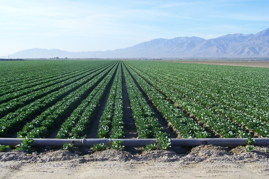 More Photos Of 71st Ave, Mecca Land For Sale