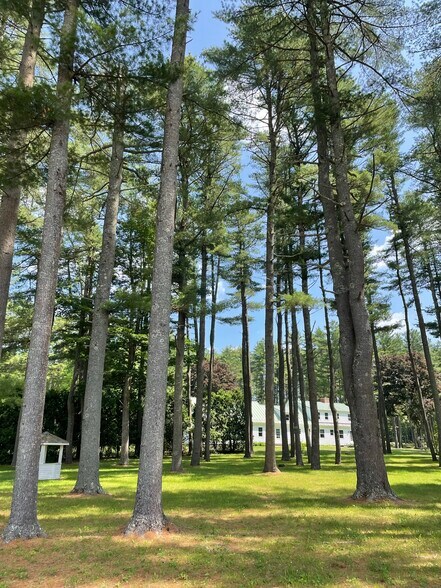 More Photos Of 43 Harrys Dr, Brunswick Office For Lease