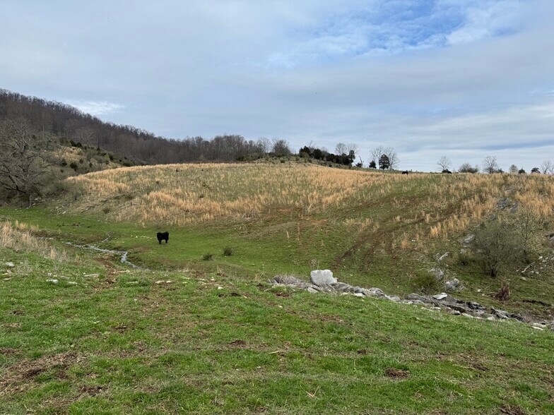 More Photos Of Lucrative Business Property, Jonesville Land For Sale