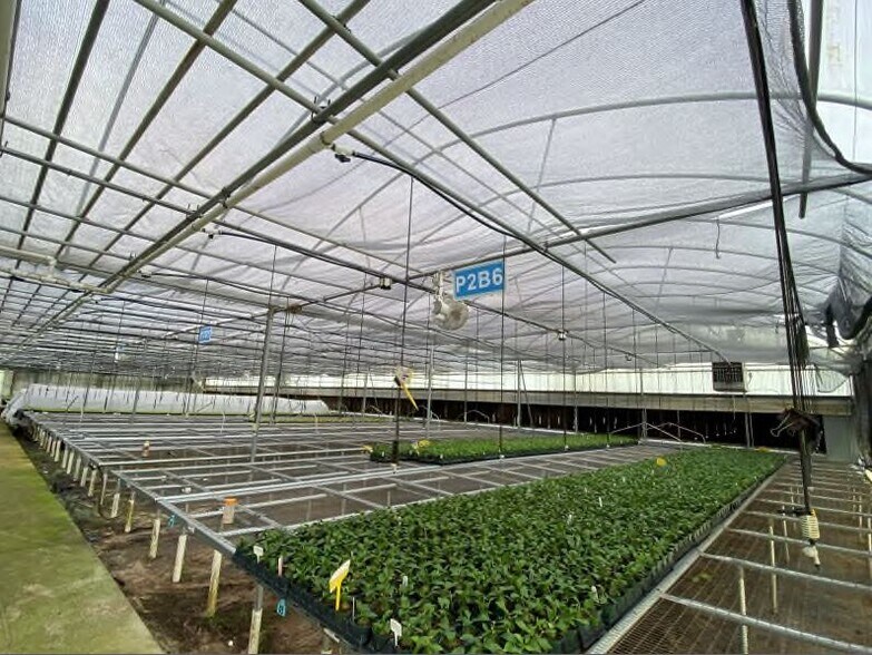 More Photos Of 17936 W Phil C Peters Rd, Winter Garden Garden Center For Sale