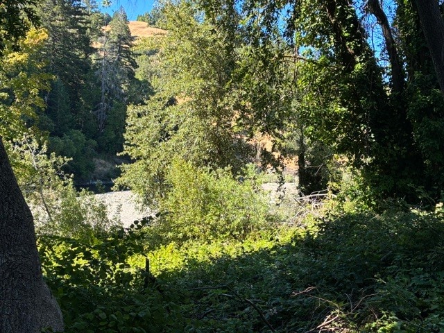 More Photos Of 4112 Redwood Dr, Redway Hotel For Sale