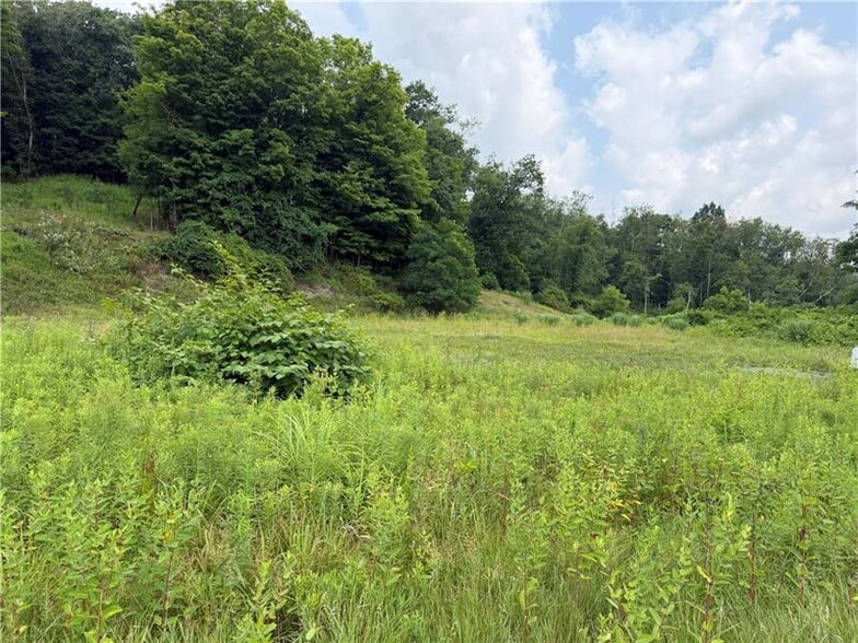 More Photos Of 00 State Route 56, Leechburg Land For Sale