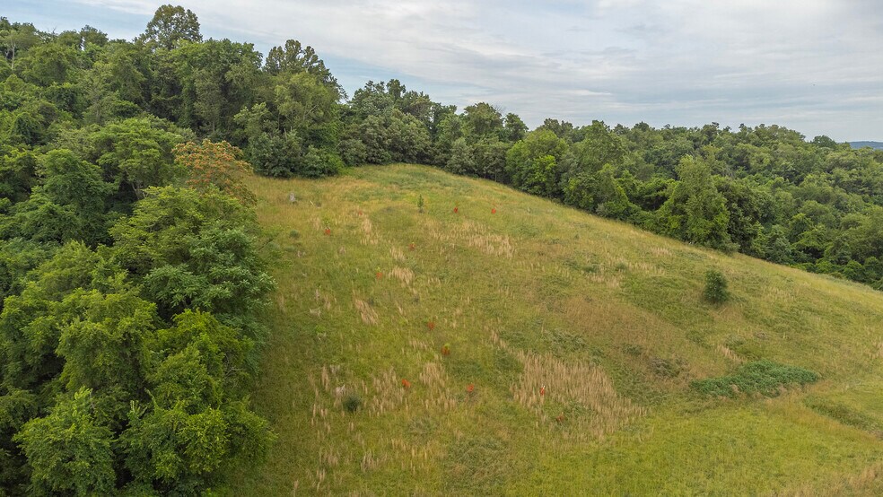 More Photos Of 10 Frazier Drive, Perryopolis Land For Sale