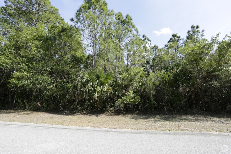 More Photos Of 1001 Technology Ave, North Port Land For Sale