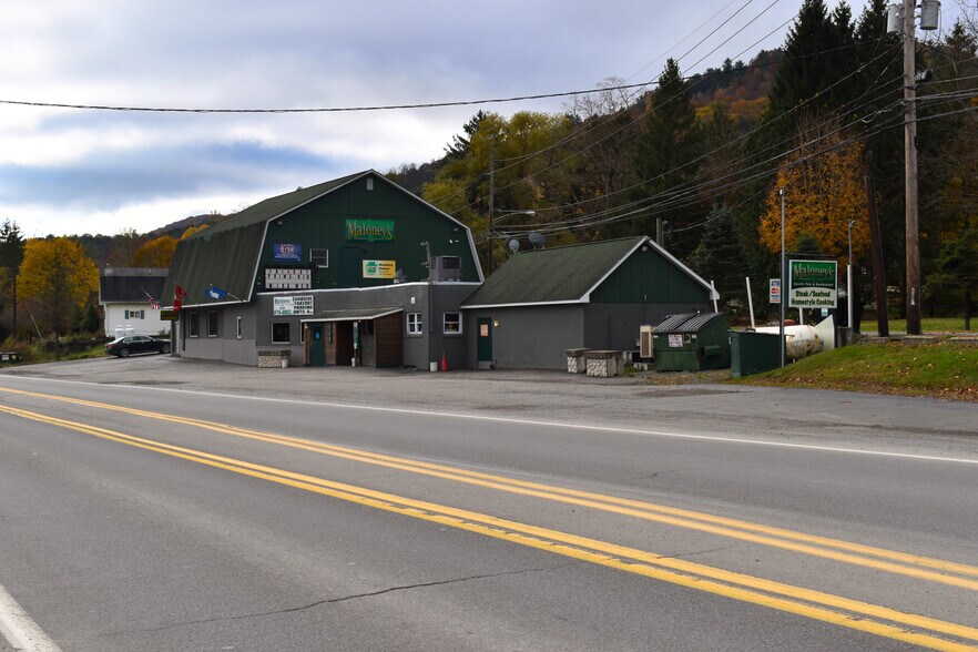 More Photos Of 117 Main St, Hallstead Restaurant For Sale