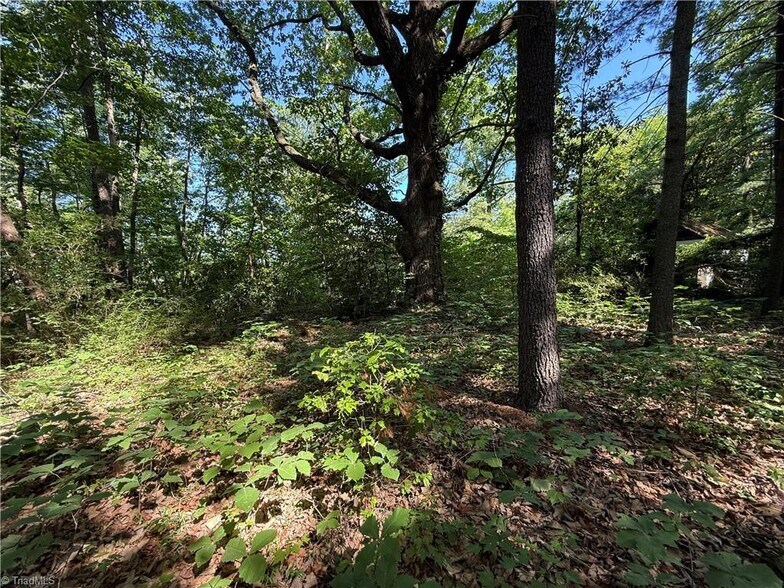 More Photos Of 607 Kirby Rd, King Land For Sale