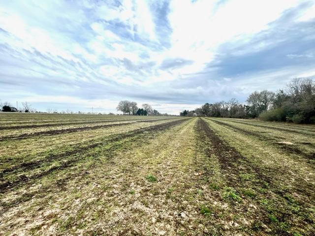 More Photos Of 8291 GA Highway 67, Brooklet Land For Sale