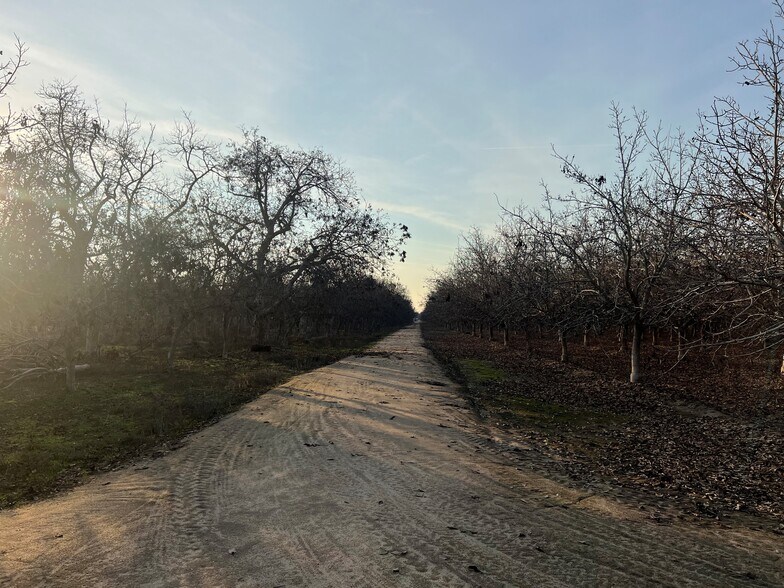 More Photos Of Avenue 248 @ Bliss Lane, Tulare Land For Sale