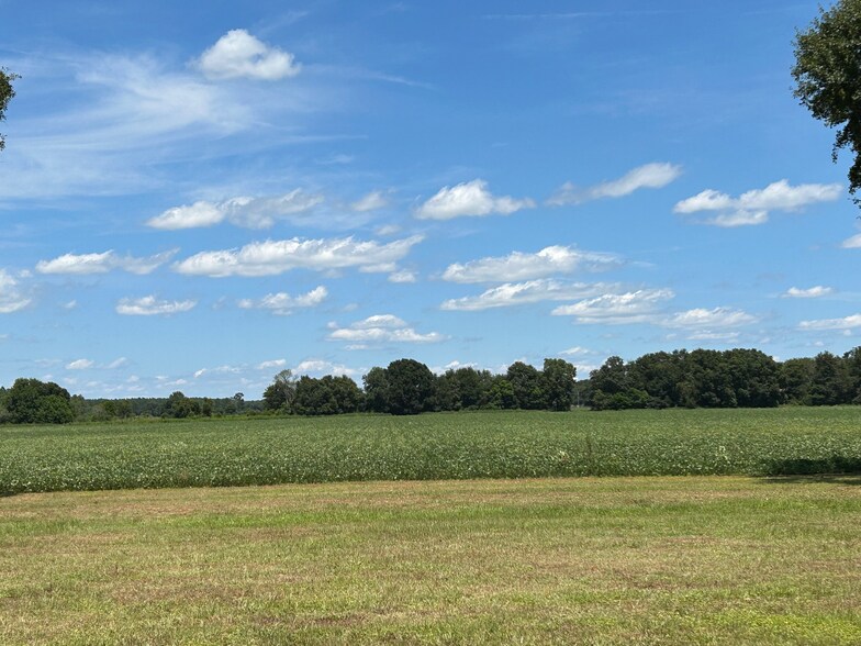 More Photos Of 8200 Highway 89, Milton Land For Sale